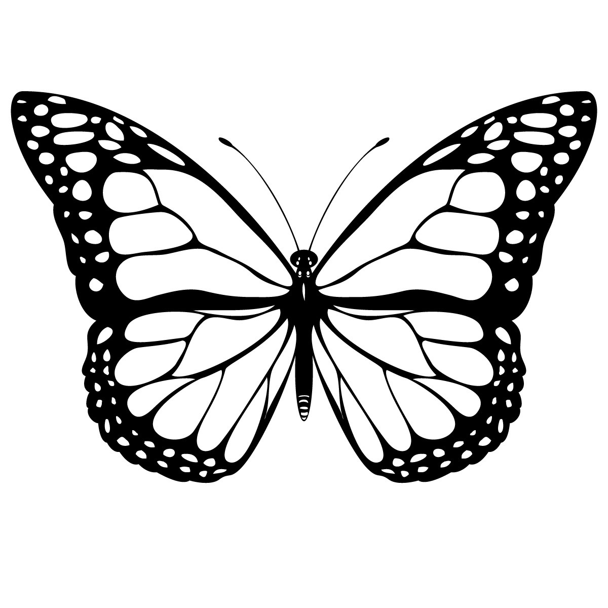 Monarch Butterfly Coloring Pages 