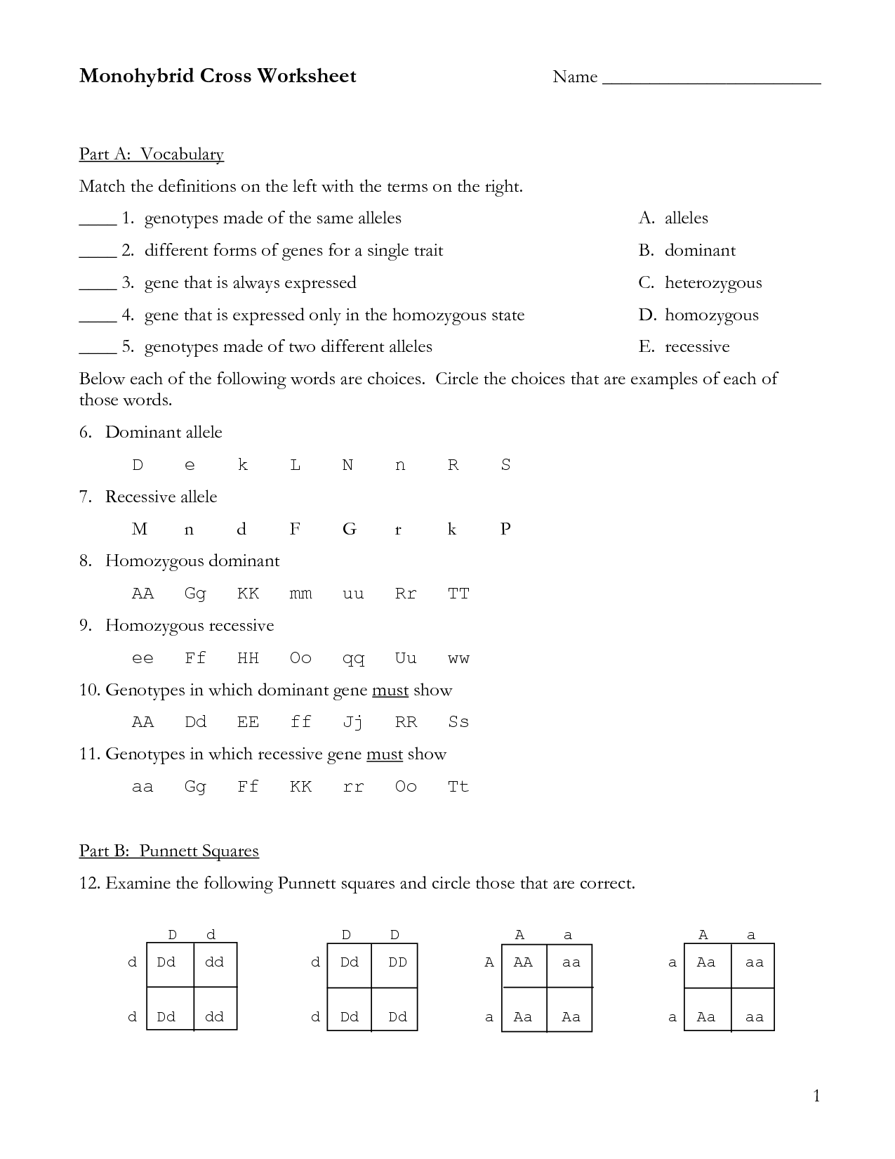 11 Best Images of Genetic Variation Worksheet - Mitosis and Meiosis