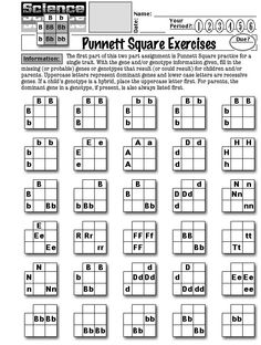 16 Best Images of 9th Grade Activity Worksheets - 8th Grade Math