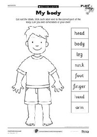 Label Body Parts Worksheet for Kids