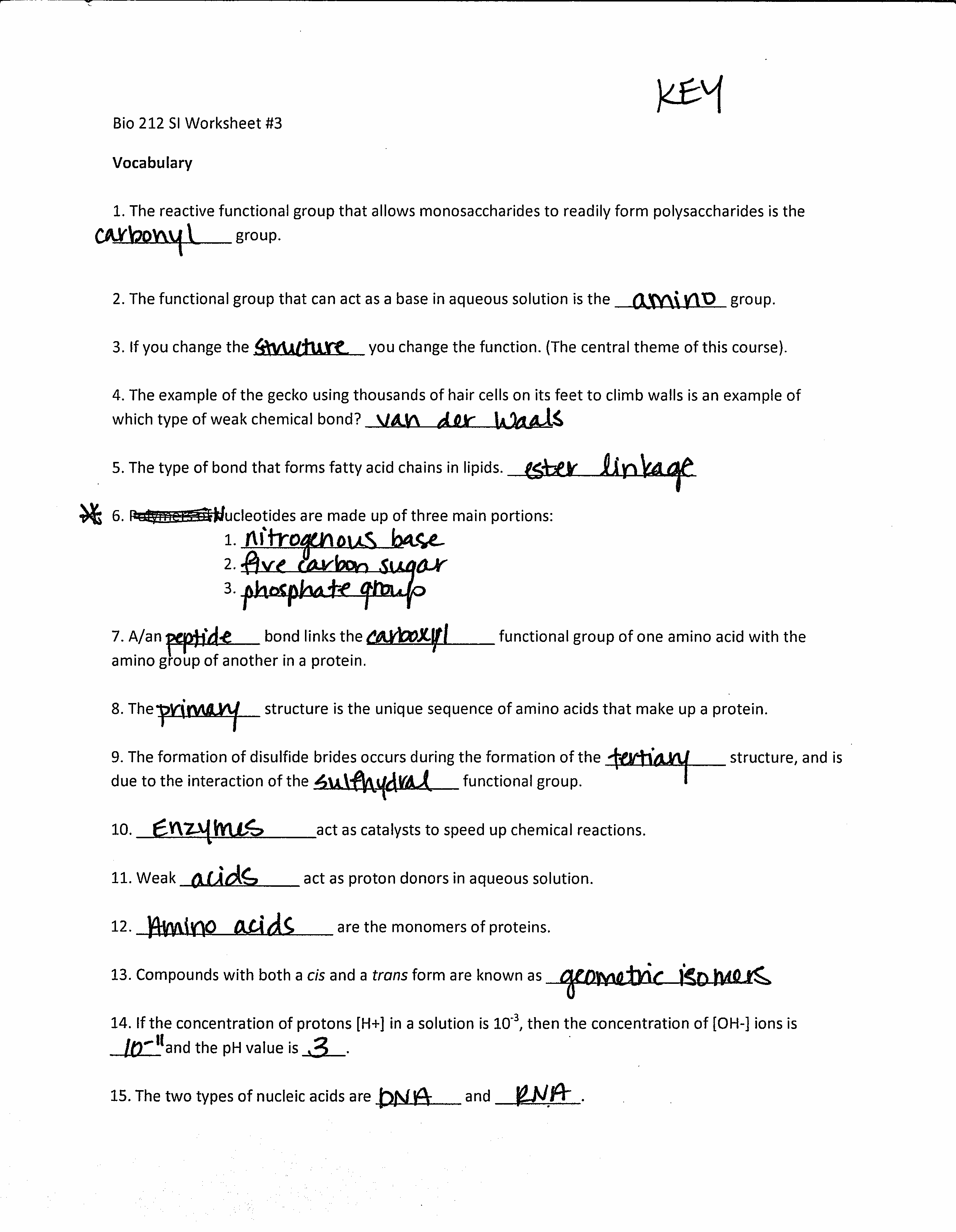 Dna Structure And Replication Worksheet