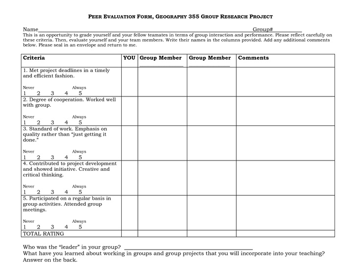 group evaluation form