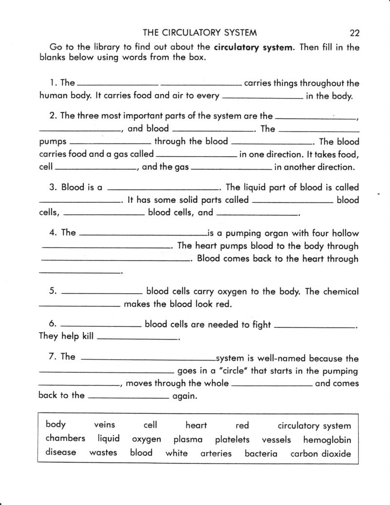 The Circulatory System Worksheet Answers Pogil