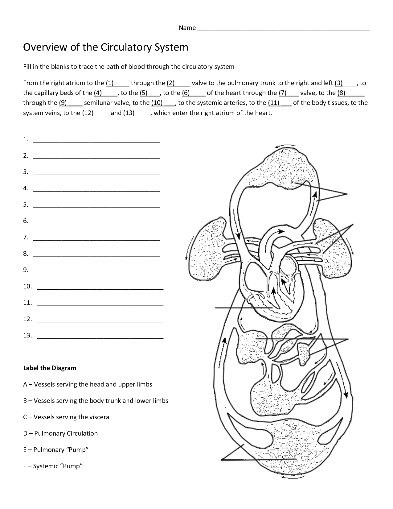 14-best-images-of-blank-fill-in-the-circulatory-system-worksheet-answer-key-circulatory-system