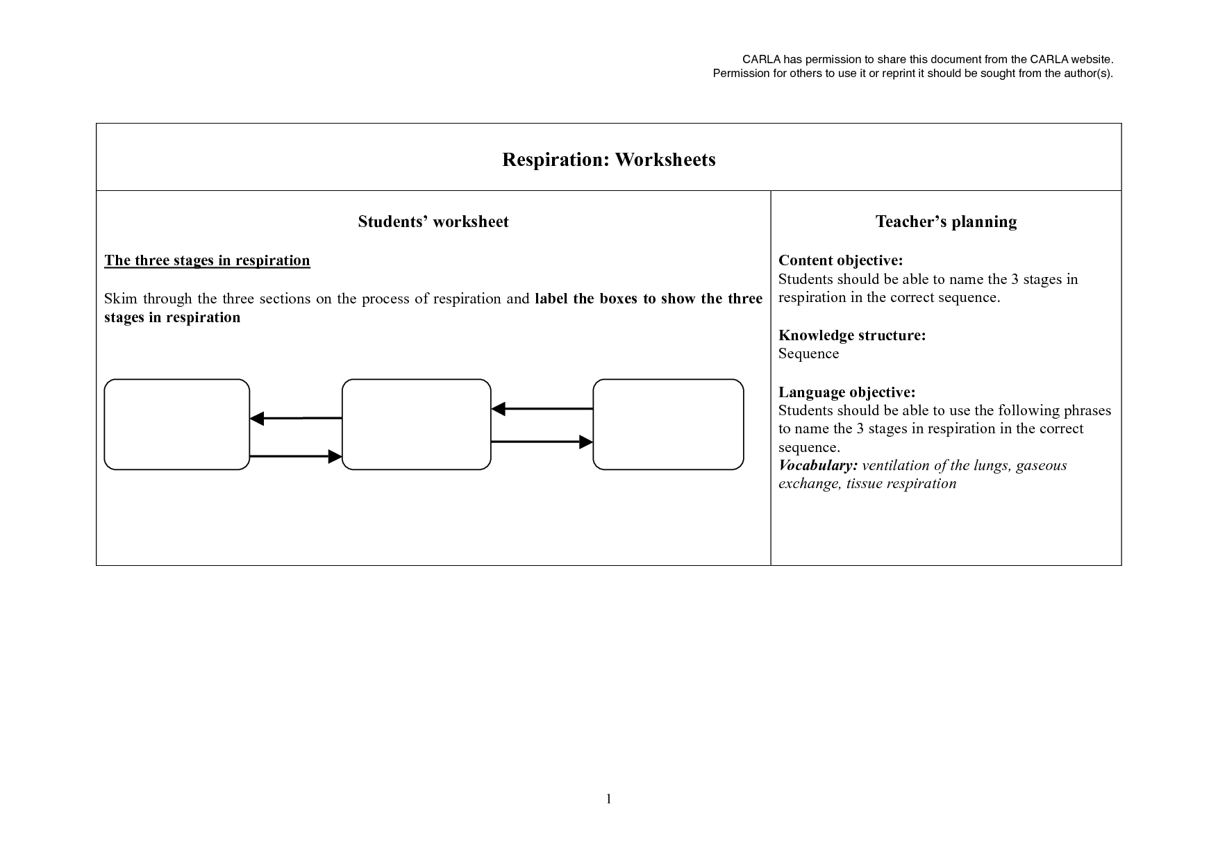 Photosynthesis Diagrams Worksheet Answers