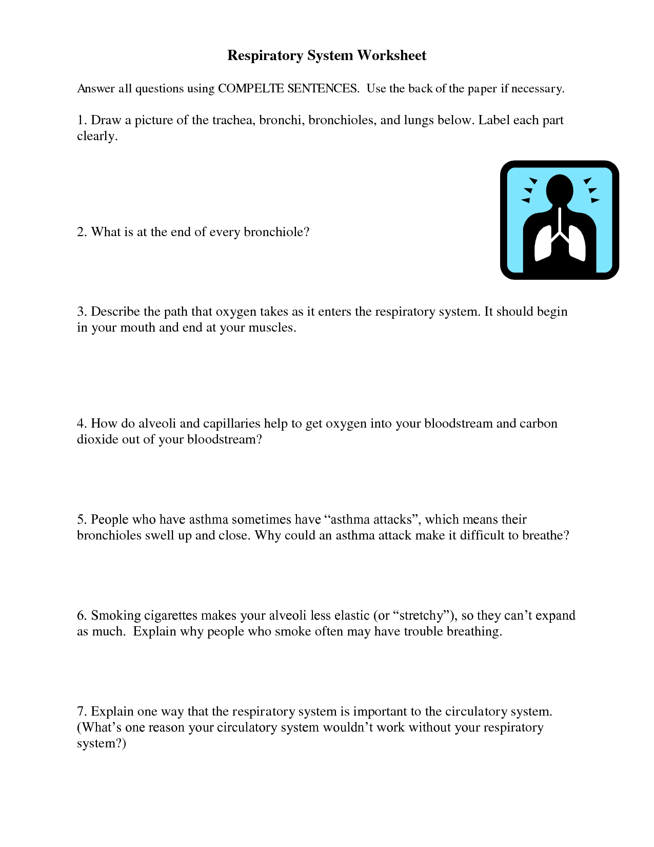 Bill Nye Respiration Worksheet