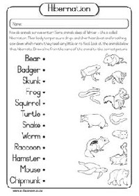 Animal Hibernation Printable Worksheets