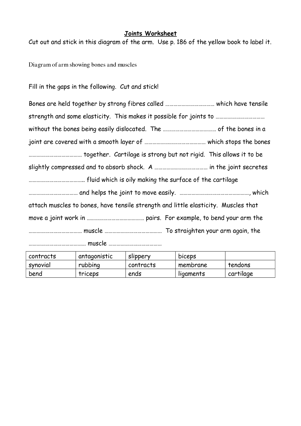 Types of Human Body Worksheet Joint