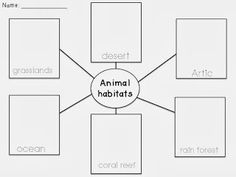 Animal Habitats Worksheets 1st Grade