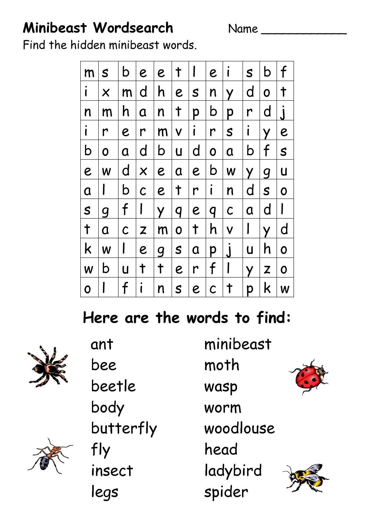 13-best-images-of-insects-worksheets-word-searches-insect-word-search