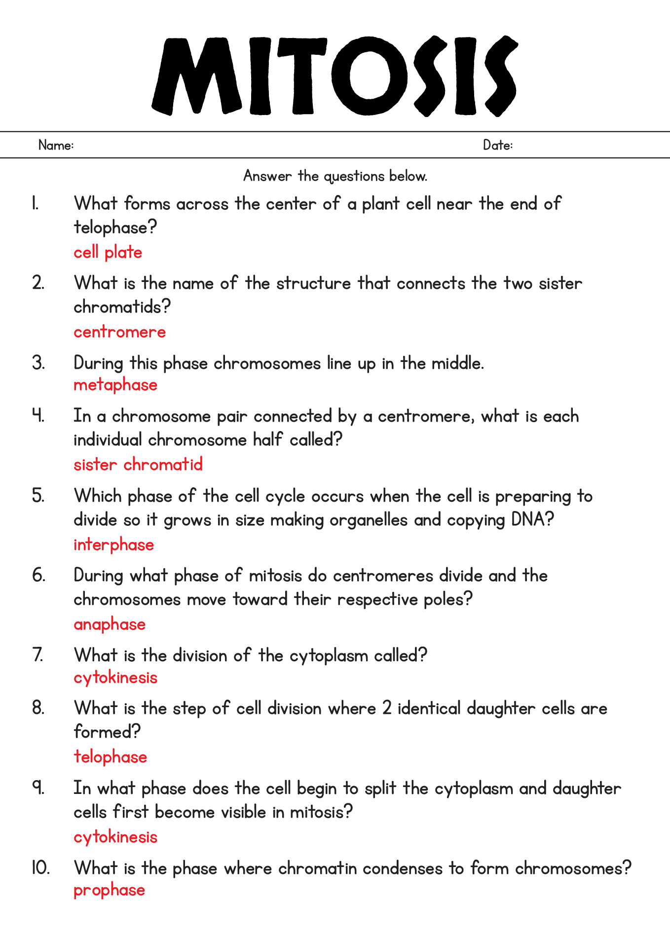 13 Best Images Of Identify Stages Of Mitosis Worksheet Meiosis And