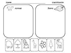 Classifying Plants and Animals Worksheets