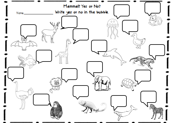 First Grade Animal Classification Worksheets