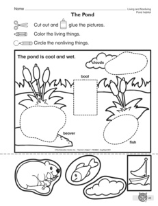 Living and Non-Living Things Worksheets