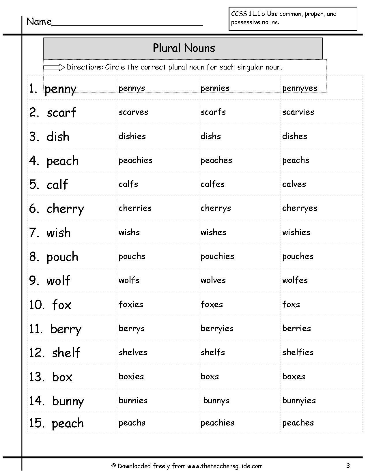Grade 7 Singular Plural Noun Worksheets