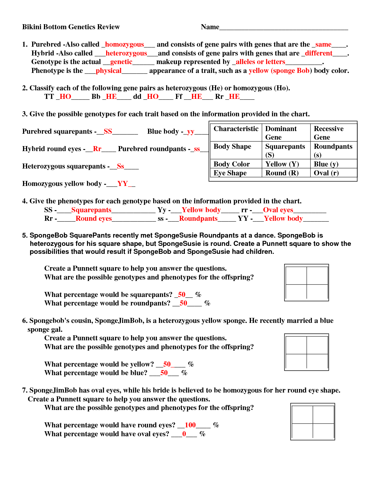 Punnett Square Practice Problems Worksheet