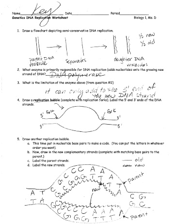 15 Best Images of Finding Nemo Worksheets With Answer Key  Finding Nemo Worksheet Answers 