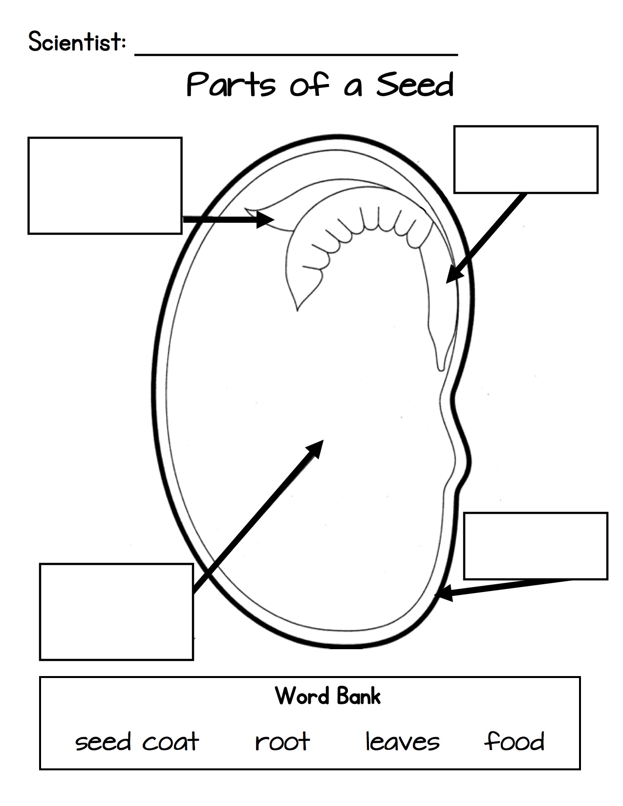 10 Best Images of Plant Roots Worksheet - Printable Plant Parts