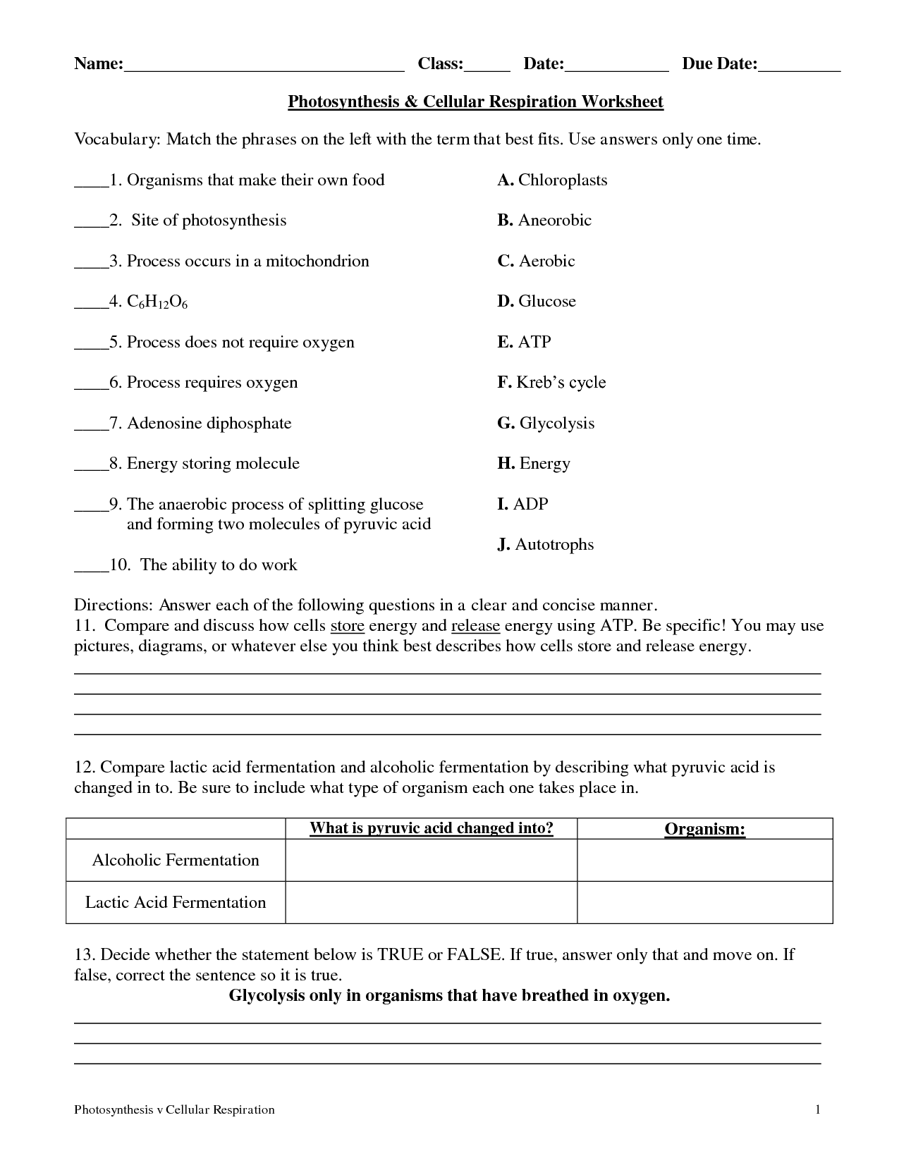 Cellular Respiration Worksheet Key