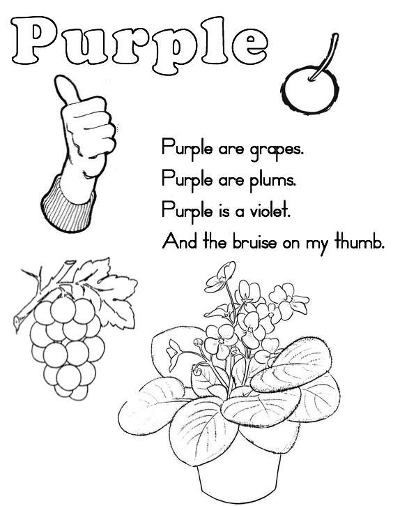 Color Purple Worksheet Coloring Pages