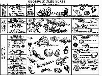 Geologic Time Scale with Index Fossils