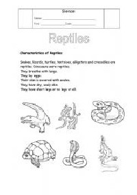 Reptile Worksheet Kindergarten