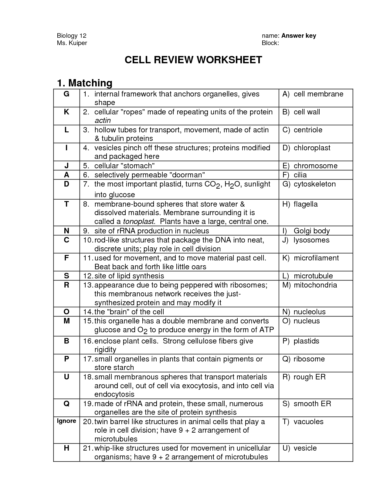 Cell Organelle Worksheet Answer Key