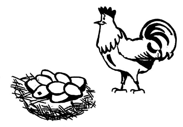 Chicken Egg Coloring Page