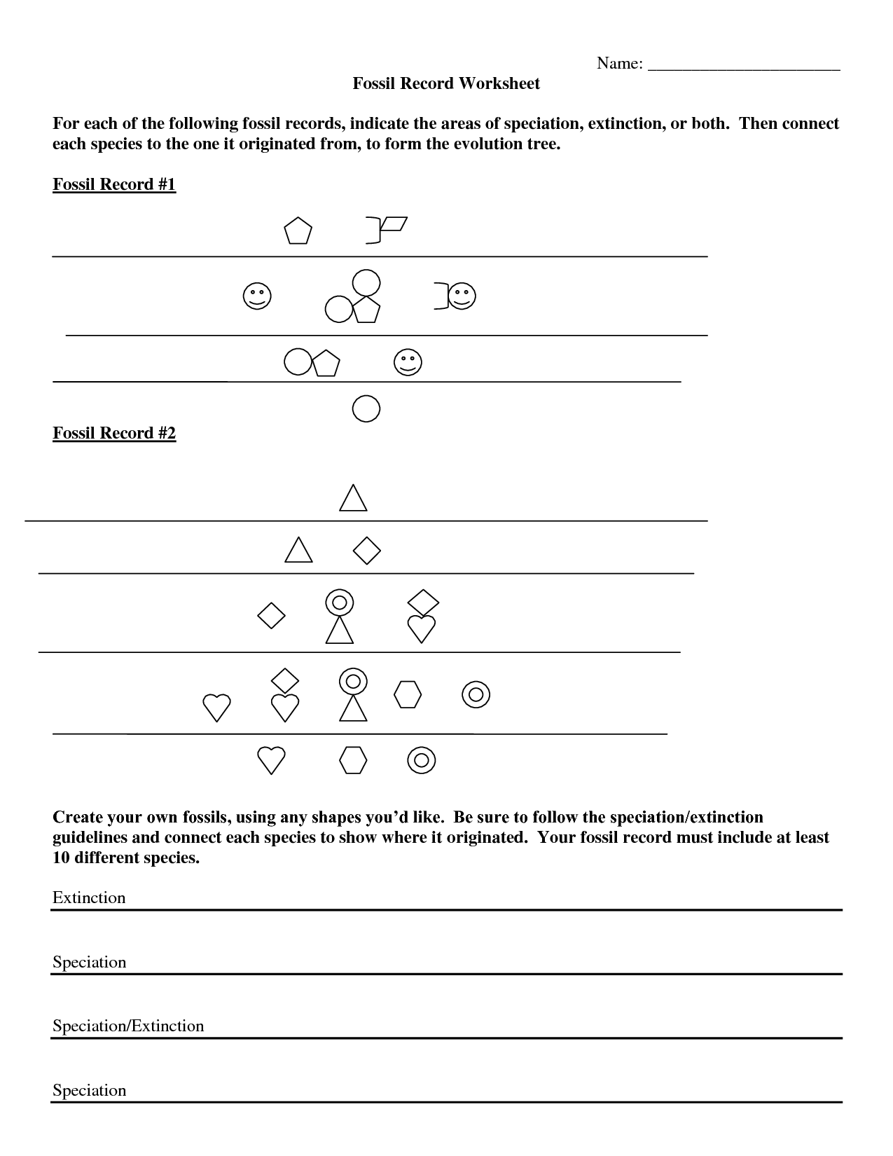 Fossil Record Worksheets