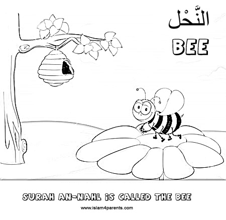  Printable Honey Bee Life Cycle