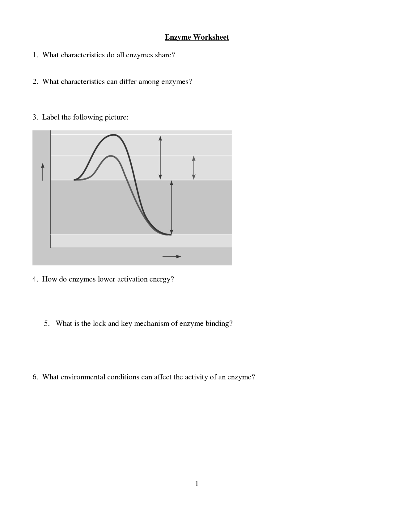 12 Best Images of Enzyme Graph Worksheet  Enzymes Temperature Worksheet, Linear Graphs 