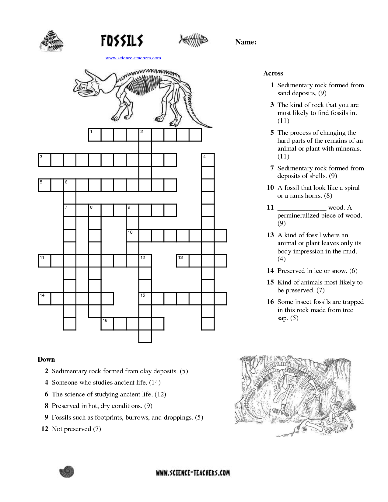 10-best-images-of-how-fossils-form-worksheet-how-fossils-are-formed-worksheet-fossil-record