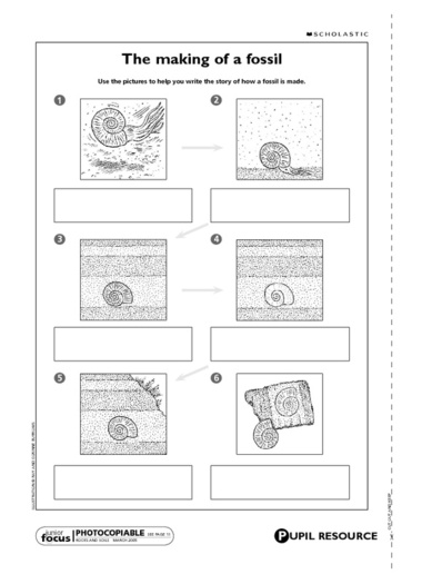 fossils-for-kids-worksheets