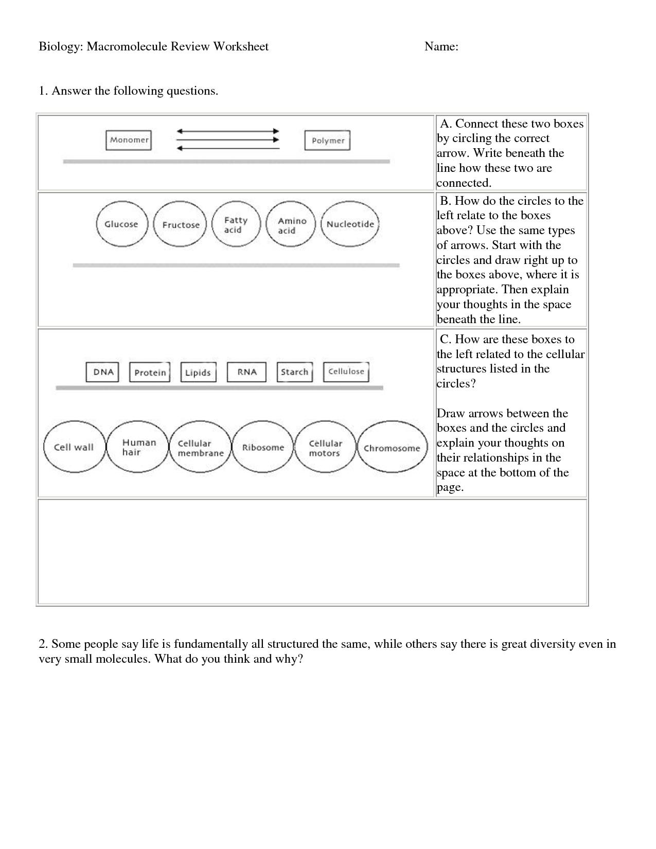 16-best-images-of-macromolecules-coloring-worksheets-and-answers-macromolecule-worksheet