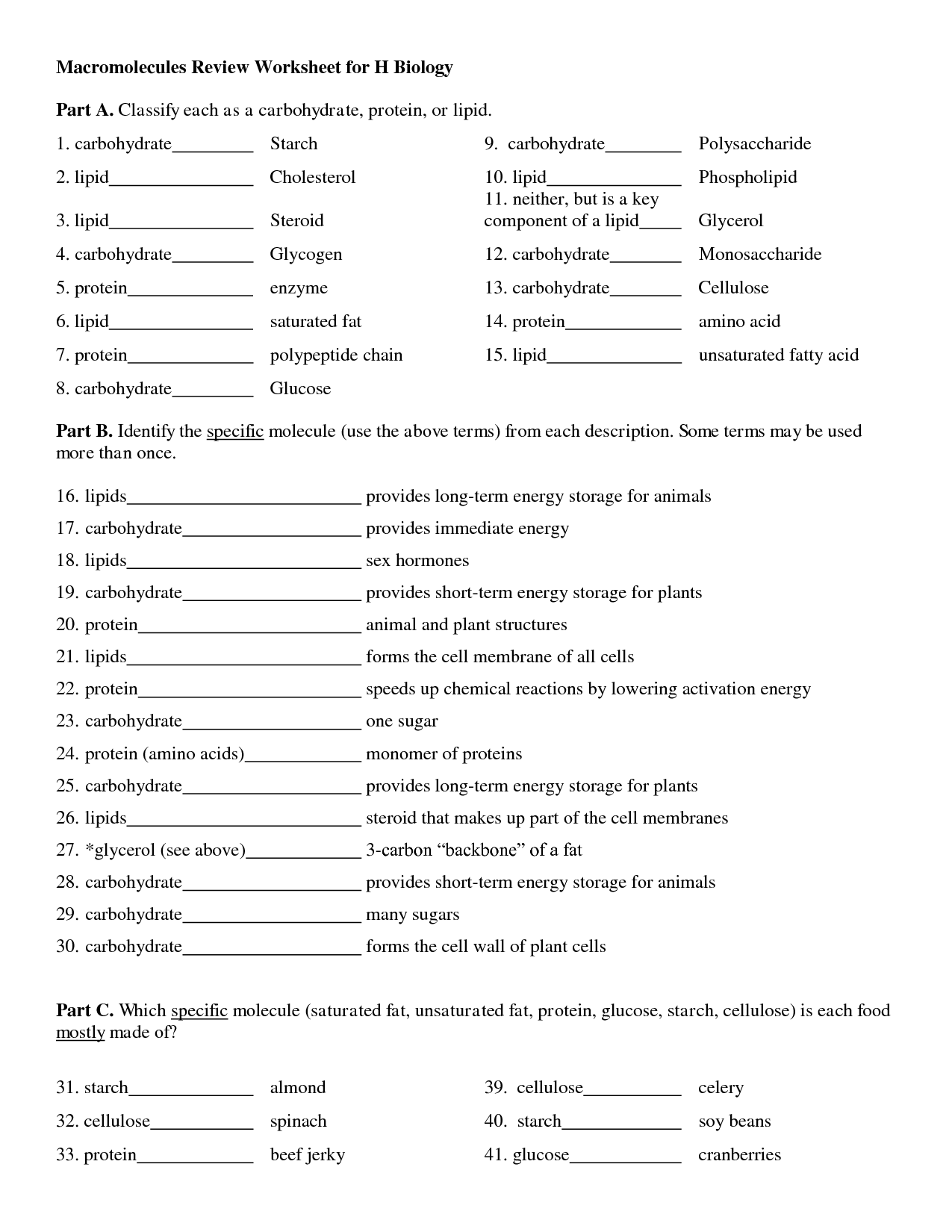 Enzymes Worksheet Answer Key