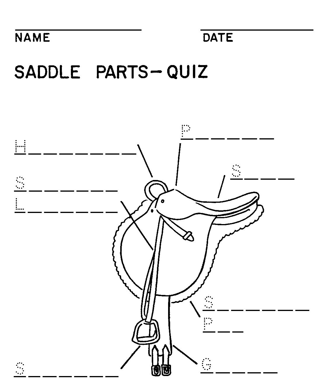 English Saddle Parts Worksheet