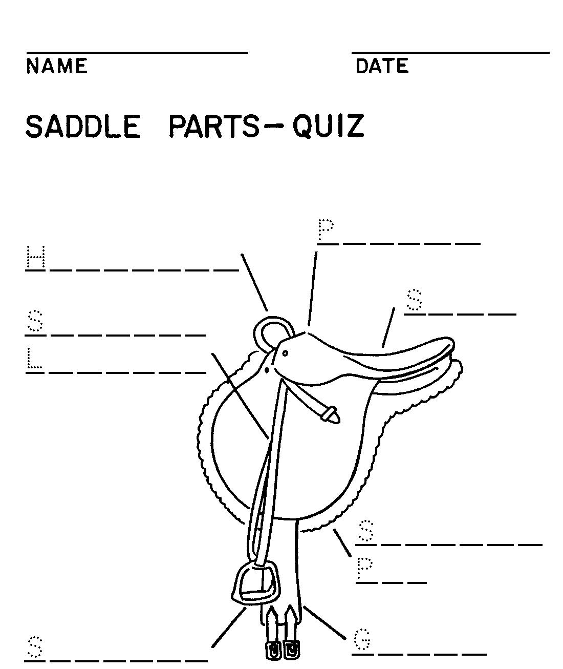 16 Best Images Of Horse Knowledge Worksheets Horse Face Markings And Leg Worksheet Printable