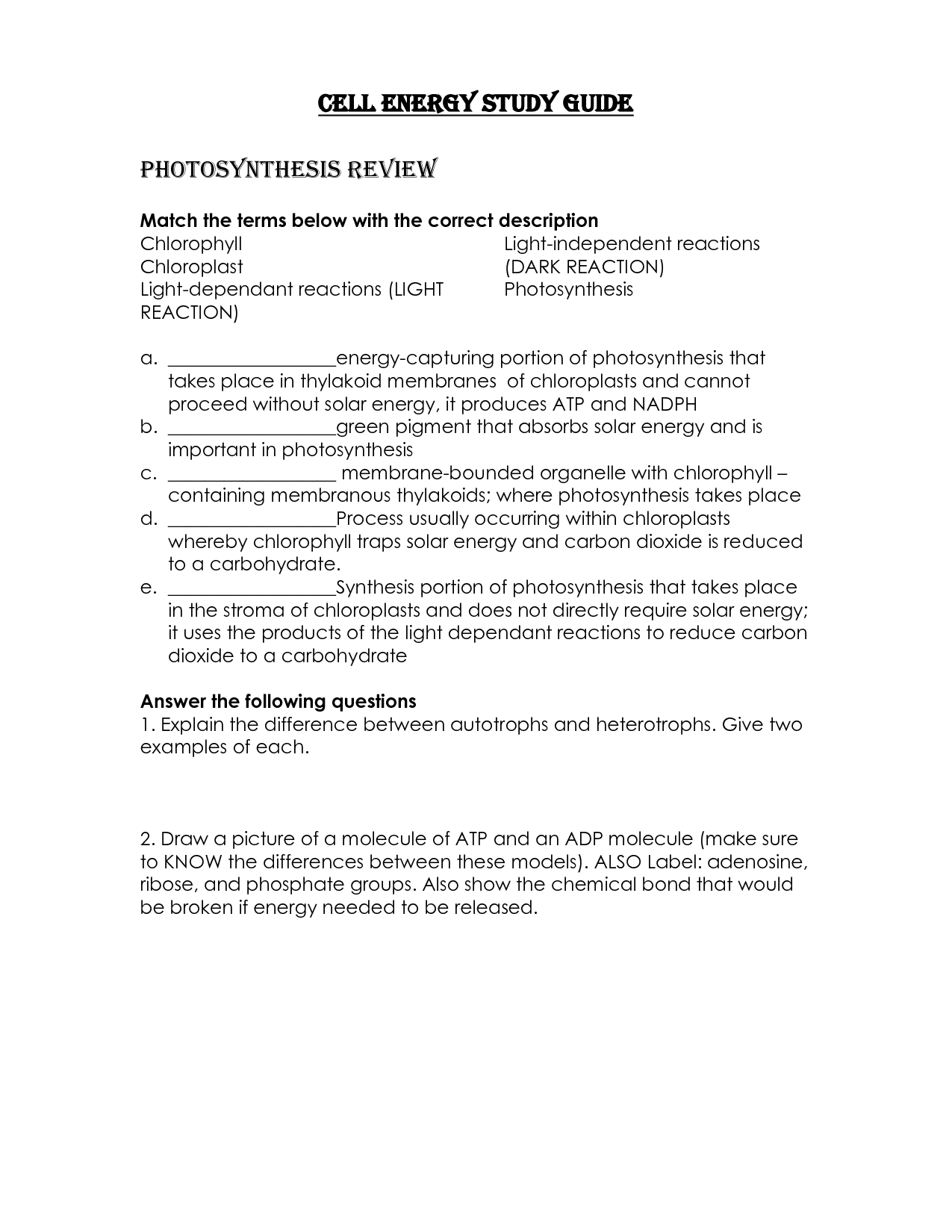 How Cells Harvest Chemical Energy Worksheet Answers - Worksheet List