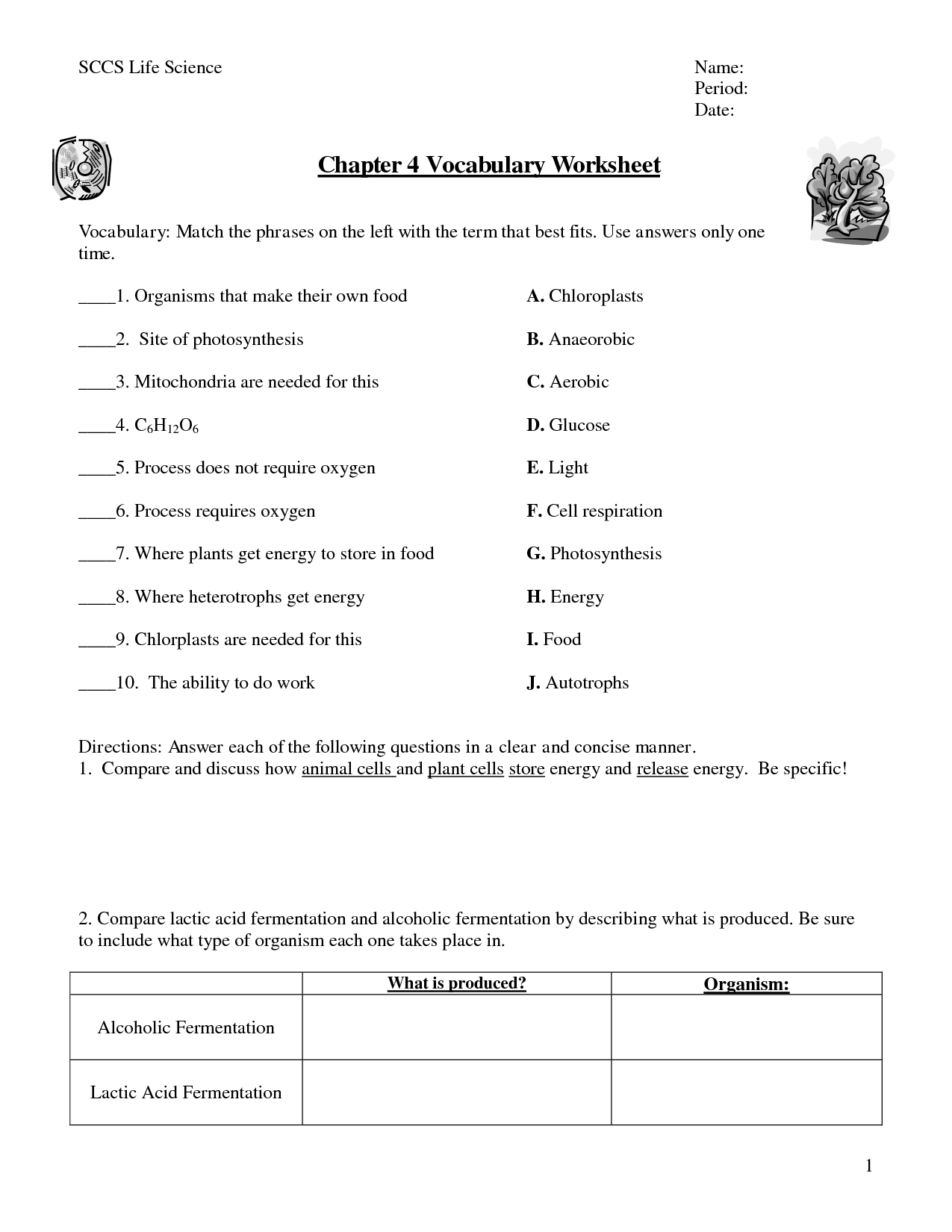 Photosynthesis Diagrams Worksheet Answers