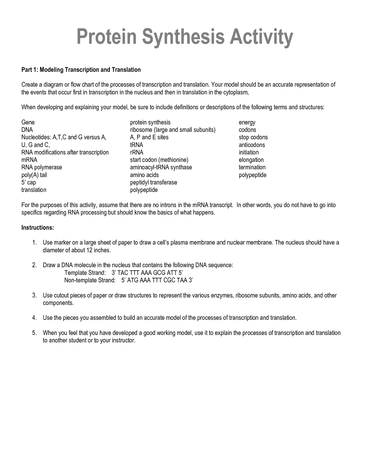 15 Best Images of Protein Foods Worksheets - Protein Diet Worksheets