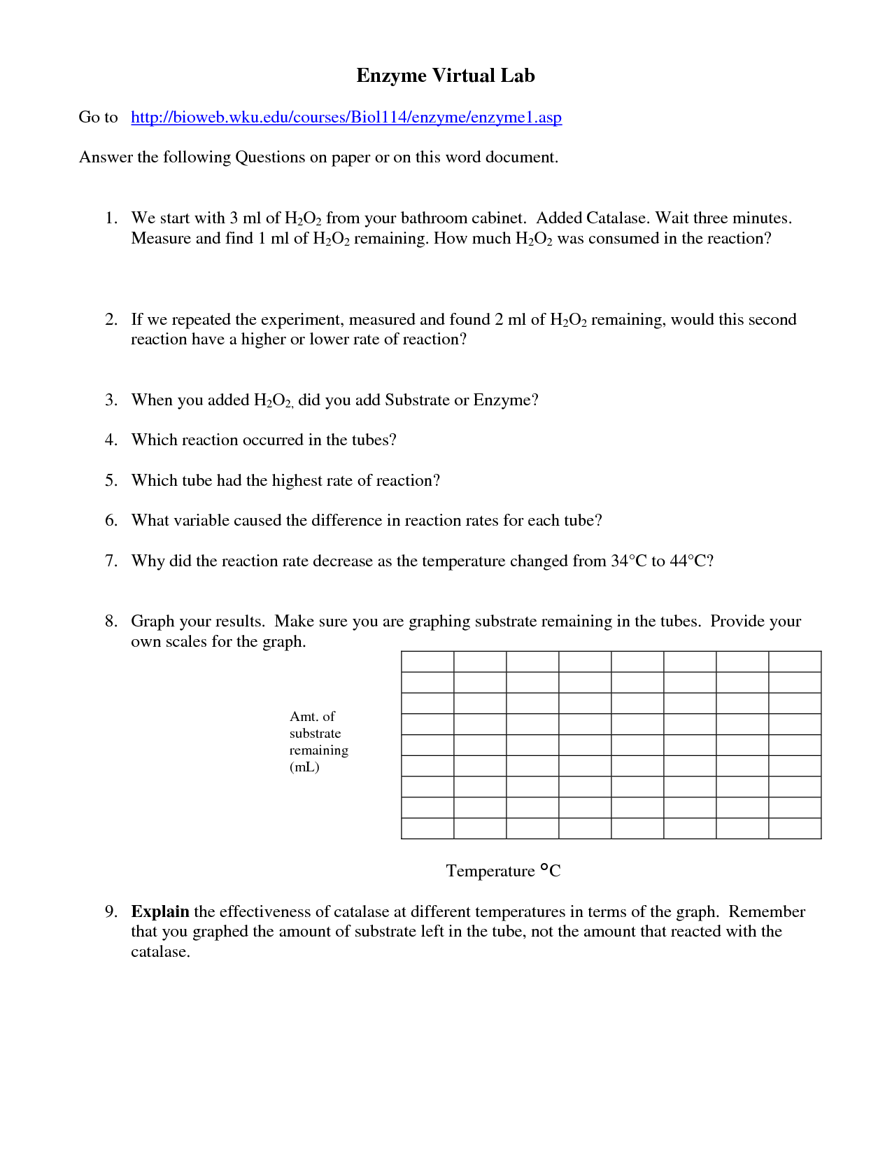 Enzyme Reaction Rates Worksheet Answer Key  Kidz Activities