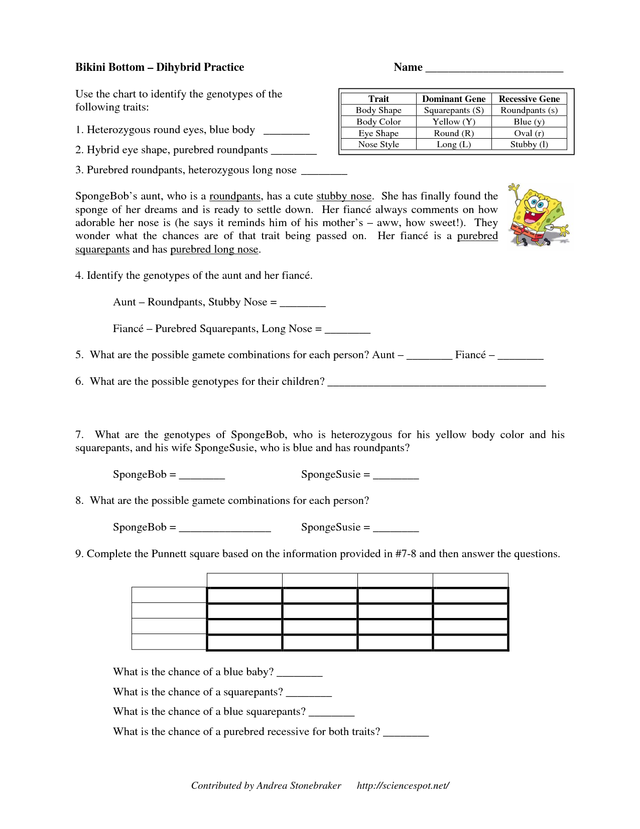 A dihybrid cross is an experiment in genetics in which the phenotypes of two genes are followed through the mating of individuals carrying multiple alleles at those gene loci. Dihybrid Crosses Answers : 15 Best Images of Dihybrid Cross Worksheet Answers ...