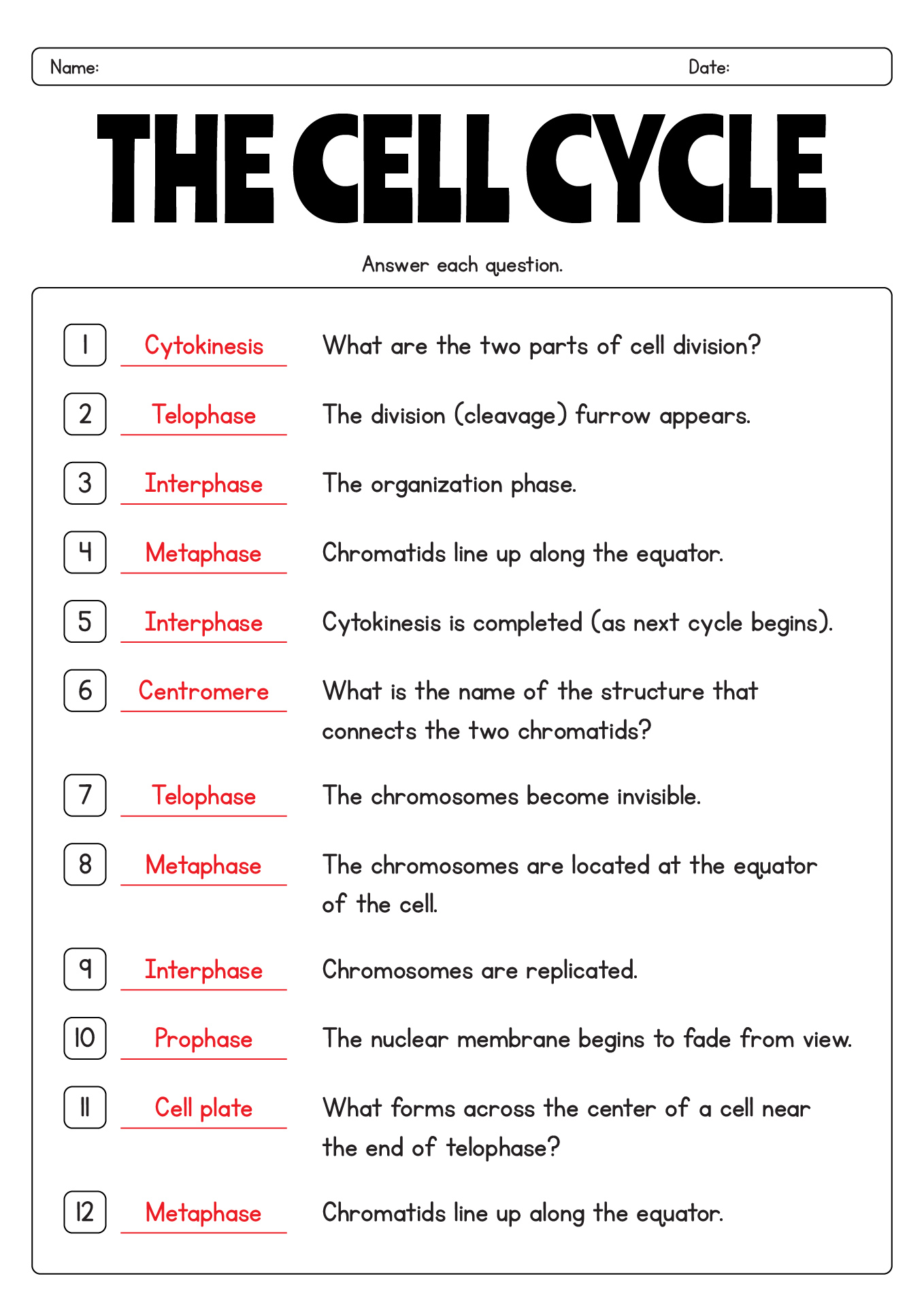 15 Best Images of Phases Of Meiosis Worksheet  Meiosis Stages Worksheet, Meiosis Stages 