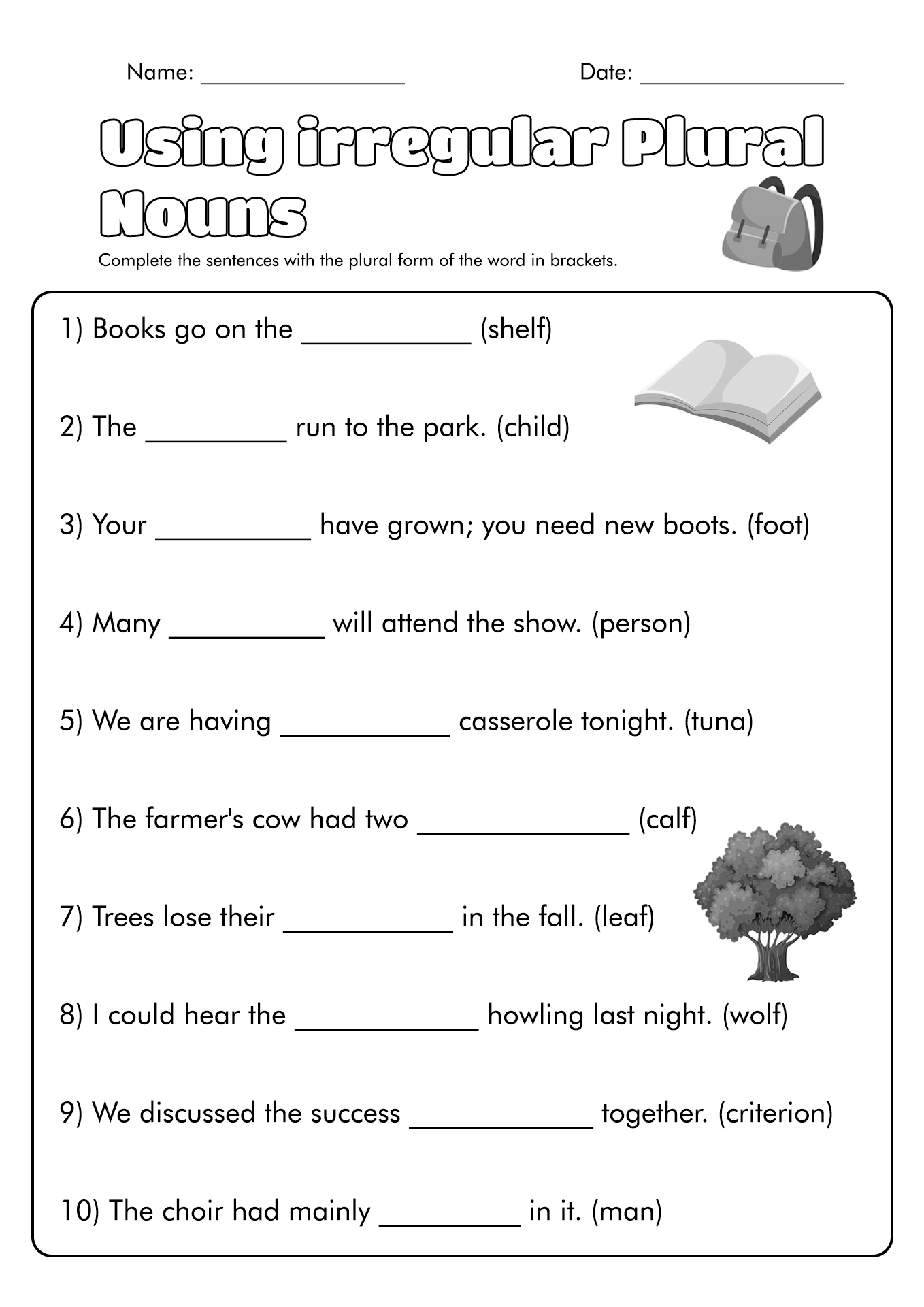 Irregular Plural Noun Worksheet