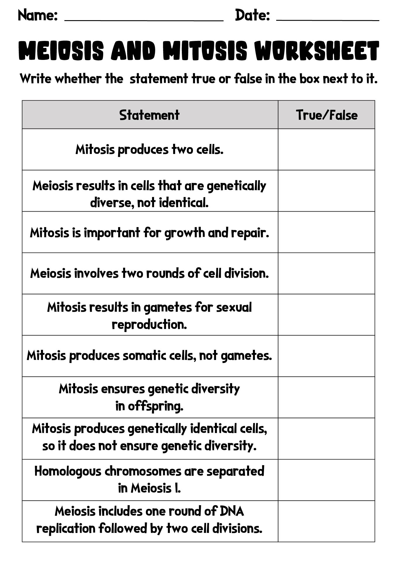 15 Best Images Of Phases Of Meiosis Worksheet Meiosis Stages