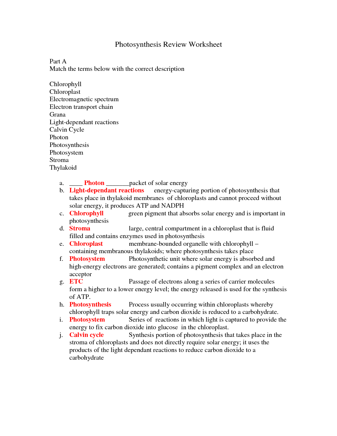 14-best-images-of-photosynthesis-worksheet-answer-key-photosynthesis