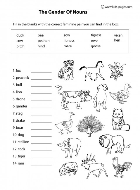 Printable Animal Worksheets PDF