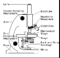 Microscope Parts Labeled