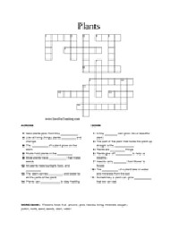 Plant Crossword Puzzle Worksheets
