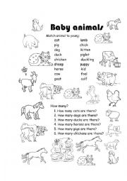 Farm Animals and Their Babies Worksheet